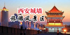 白虎美女插逼软件中国陕西-西安城墙旅游风景区