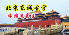 男女日b1000部中国北京-东城古宫旅游风景区